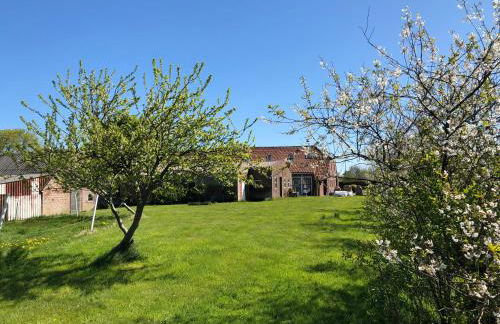 Ferienwohnungen Am Mühlenhügel - Photo 57