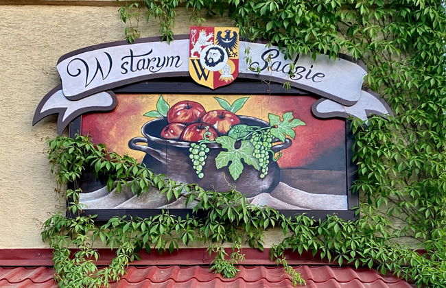 W Starym Sadzie - Foto 1