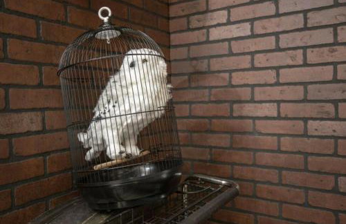 2620 Magical Memories 15 min-Disney - Foto 48