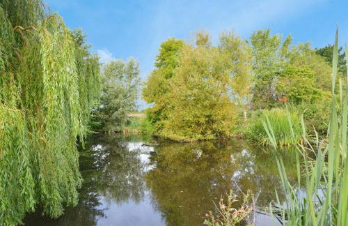Willows - Foto 4