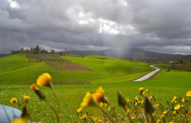 Poggio alla Pietra 26 - Foto 38