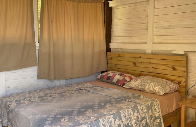 Kelebekler Vadisi Butterfly Valley - Foto 10