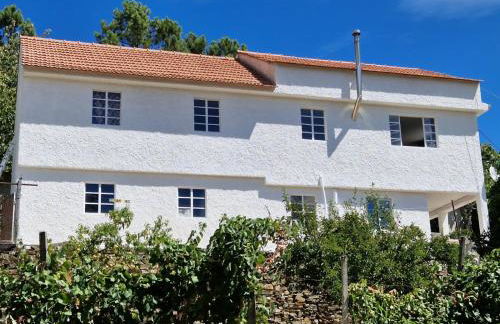 Quinta Dos Kiwis - Foto 11