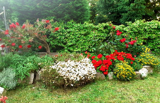 Mansardina sui Due Golfi - Foto 18