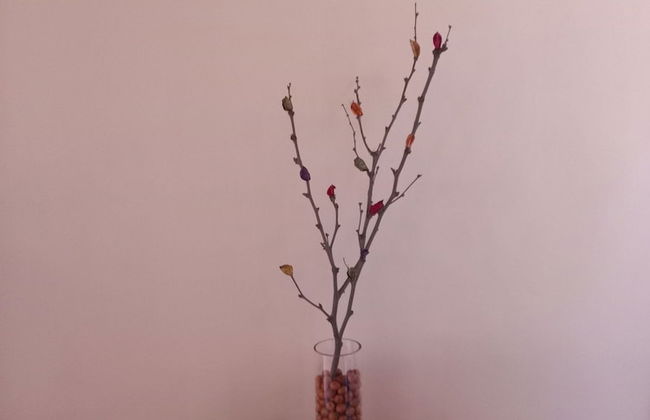 Casa Sutar 3 y 4 - Foto 54