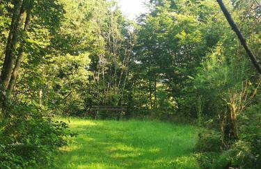 Ferienwohnung EG AusZeit - Foto 42