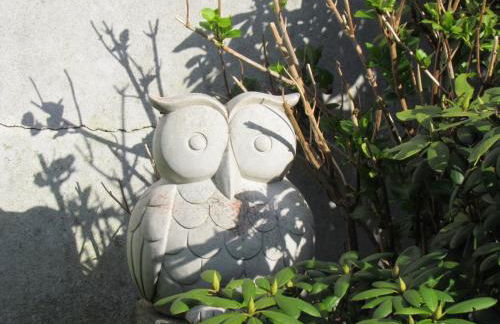 Kastanienhof Lübben - Foto 16