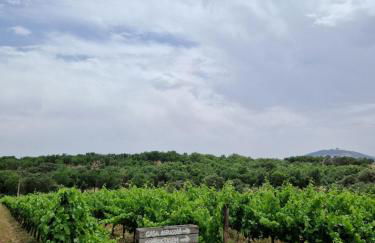 Monte das Aranhas - Foto 48