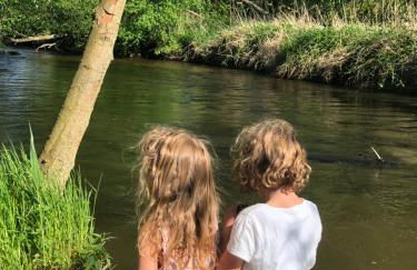 Tinyhaus mit Sauna -RESET im Vilstal - Zurück zum Ursprung - Foto 26