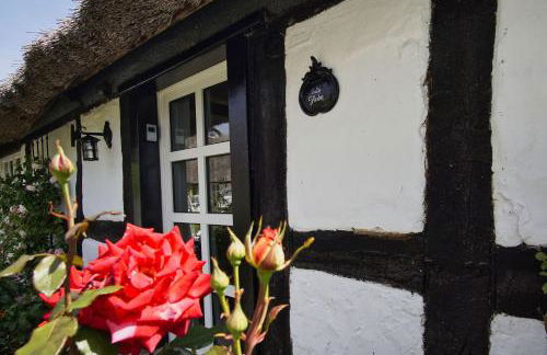 strandnahe Idylle am Meer, private Badestelle mit Strandkorb - Gutshof Ostseeblick FeWo Nr 04 - Photo 20