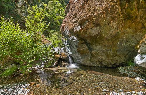 Buck Hollow - Foto 3