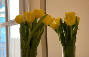 Artaki beach house with view - Foto 25