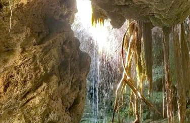 Casa Dolores - Photo 30