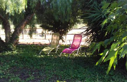 Mas des Oliviers - Foto 21