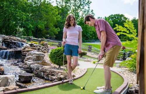 Chalets Resort LAKEFRONT Cottage Free Amenities Amazing views Kayaks 2 Pools - Foto 46