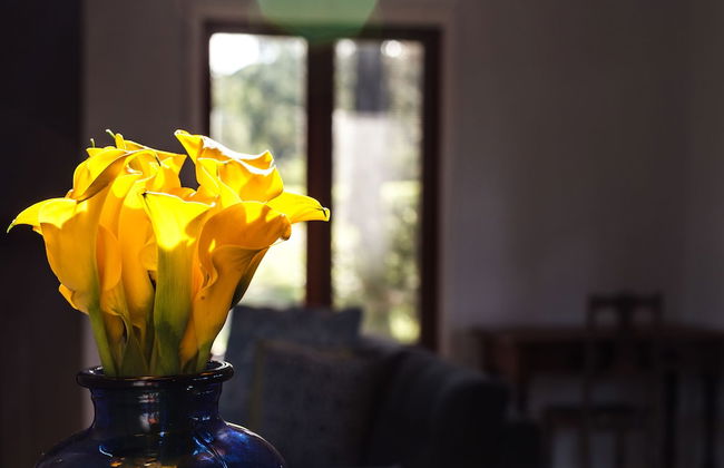 Worrowing Jervis Bay - Photo 16