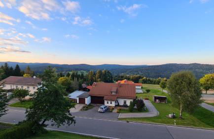 Two Apartaments Almberg - Mitterdorf-Mitterfirmiansreut - Foto 39