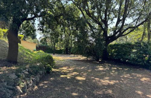 L'Oliveda - complètement climatisée, piscine, calme, proche commerce et lac, ski à 45min - Foto 41