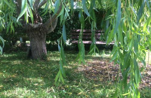 2 Ferienhäuser im Doppelpack für Naturliebhaber, strandnah, ruhig, mit großen Gärten - Foto 42
