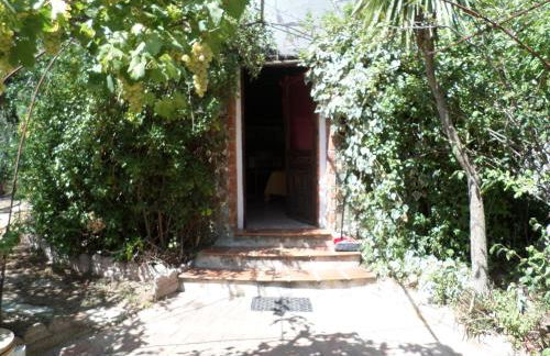 Pinnettu sardo tipica abitazione sarda in ecosistema insetti e animaletti simpatici in condivisione bagno esterno a 10metri Leggere attentamente Prima di prenotare - Foto 41