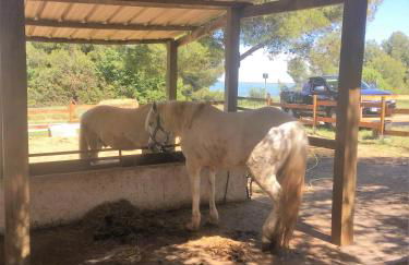 Coté piscine Villa plain pied - Foto 35