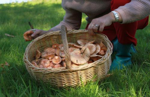 Pojezierze Drawskie Agroturystyka Greanna - Foto 65