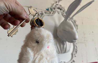 Attico White Rabbit - Foto 12