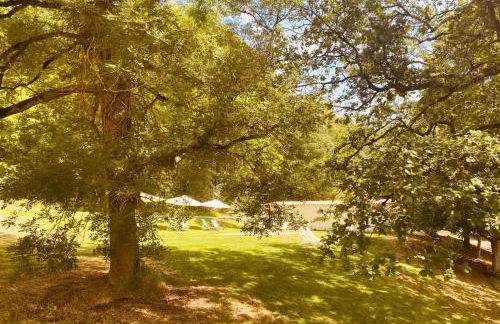 Gîte de Fompesquiere - Foto 13