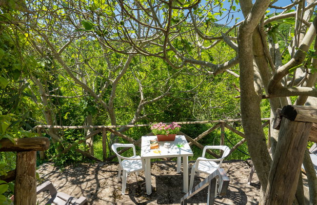 3 bedroom House in Pontassieve with private pool and garden - Photo 33