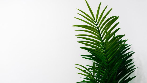 Apartamentos Toboso Plaza - Foto 3