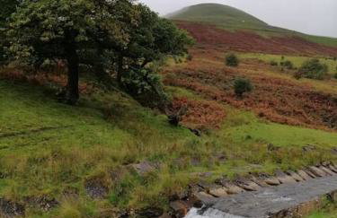 Welsh Miners Cottage Four Bedroom House - Foto 31