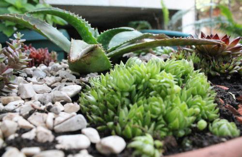 Apartments Tanja - Photo 44