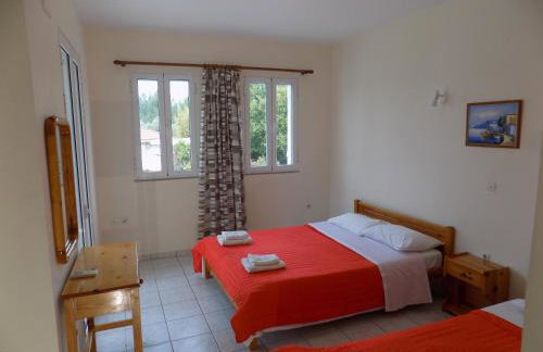 JERRY'S STUDIOS LASSI - Photo 24