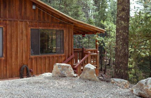 Cloudcroft Mountain Retreat about 5 Mi to Skiing! - Foto 28