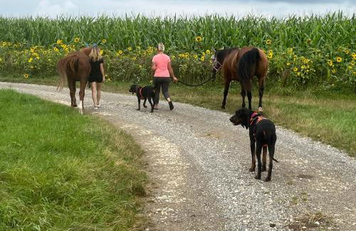 Apartments ideaCasa - Foto 10