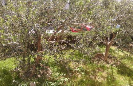 Sunny Apartment - Photo 26