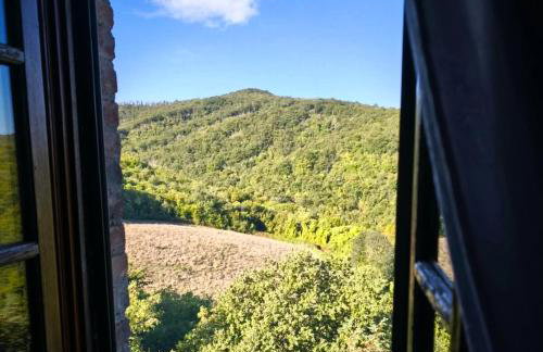 Borgo Livernano - Photo 51