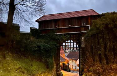 Delux Ferienwohnung Kunstgalerie und Ilmradweg - Photo 69