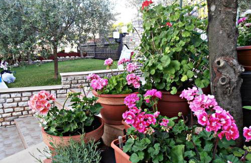 Apartments Glam - Photo 10