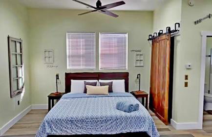 Orange Delite - Photo 9