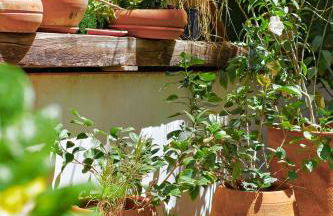 Apt Oasis LuxuryRentalsMurcia - Foto 7