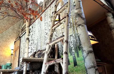 Romantic Glamping Dome in the Catskill Mountains near Woodstock, New York - Foto 9