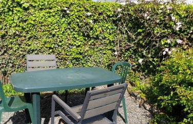 Les Clématites - Foto 15