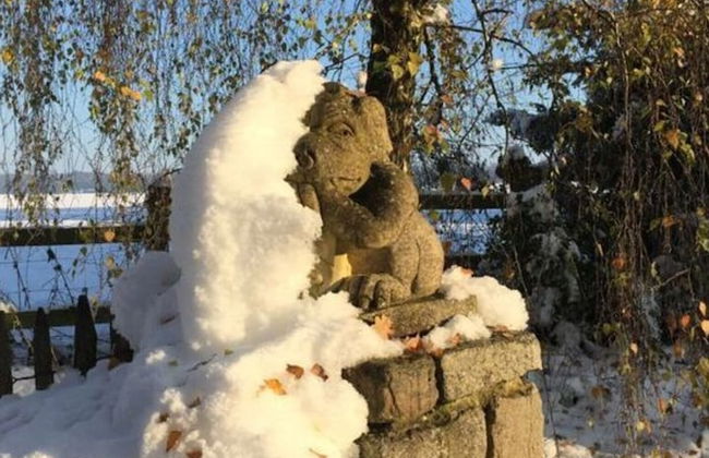 Holiday Apartment Trulich Hoff - Foto 11