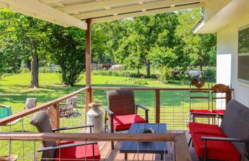 Horses Welcome Marble Falls Home with Grill! - Foto 19