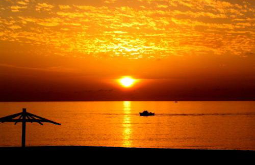 Relax Hotel - Foto 80