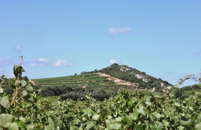 Bright, Modern Loft Comfortable Vacation Home - Foto 28