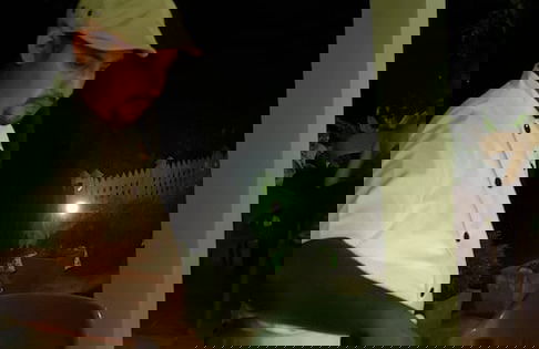 MYH - Lake Front Pvt Villa - Photo 23