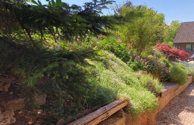 Holiday Apartment Silberborth - Foto 18