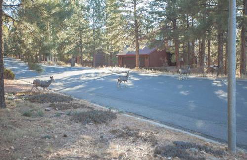 2 Living Rooms Fires Quick Drive Downtown - Foto 50